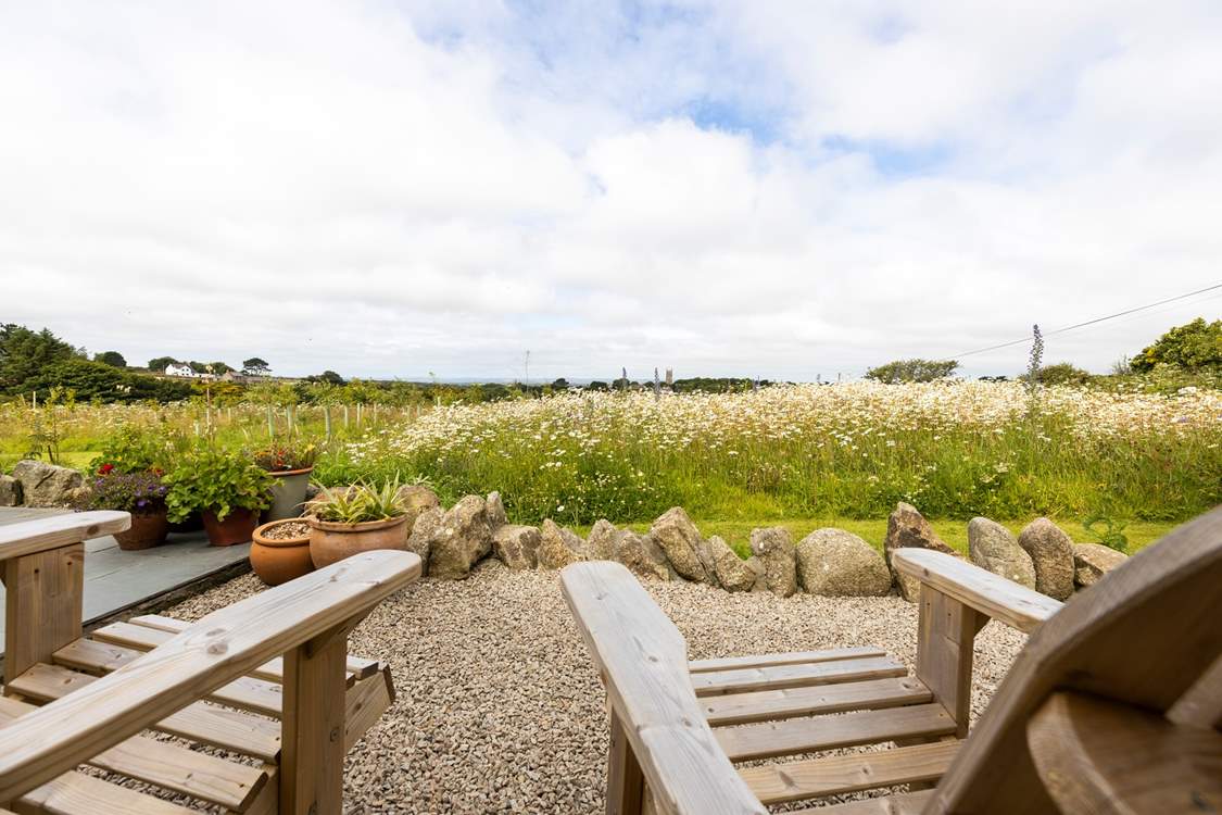 Your view from the patio terrace.