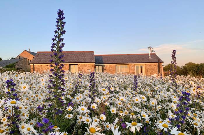 Bolankan Barn is a 1 bedroom, rural holiday cottage near Porthleven, West Cornwall.