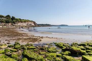 This is one of the fabulous beaches in Falmouth - Swanpool.