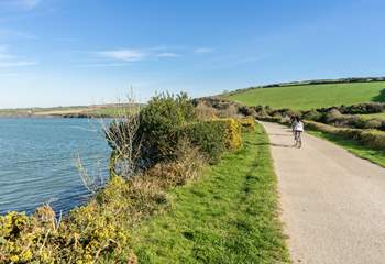 Why not venture a little further and hire bicycles and ride from Wadebridge to Padstow on the infamous Camel Trail.