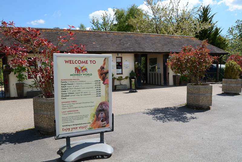 Monkey World is a primate rescue and rehabilitation centre, between Dorchester and Wareham.