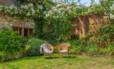 Sit back and relax in this fabulous sunny garden. - Thumbnail Image