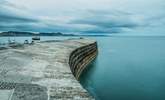 Lyme Regis is just across the boarder and worth a visit. - Thumbnail Image