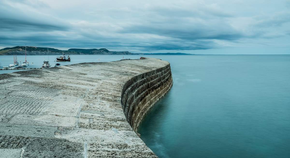 Lyme Regis is just across the boarder and worth a visit.