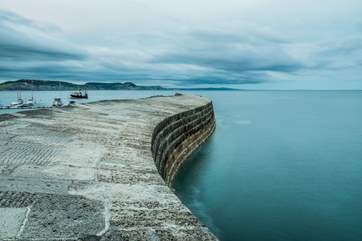 Lyme Regis is just across the boarder and worth a visit.