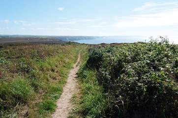 The footpath down to Chapel Porth is a stunning walk.