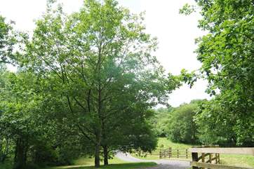 The drive up to the main house and cottage.