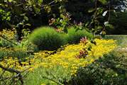 The garden flowers are beautiful throughout the spring and summer.