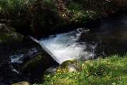 The leat gathers in one spot beside the garden which has been known to be used as a dipping pool.