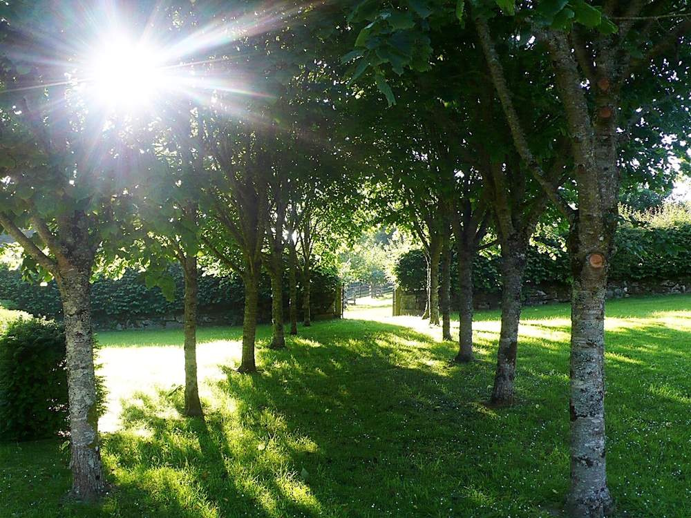 The surrounding gardens are stunning all day long.