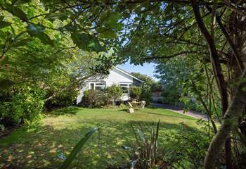 A peaceful setting to enjoy a morning coffee in the garden.