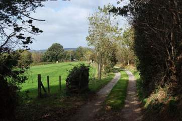 The last leg of your journey, the lane to Mudgeon Vean.