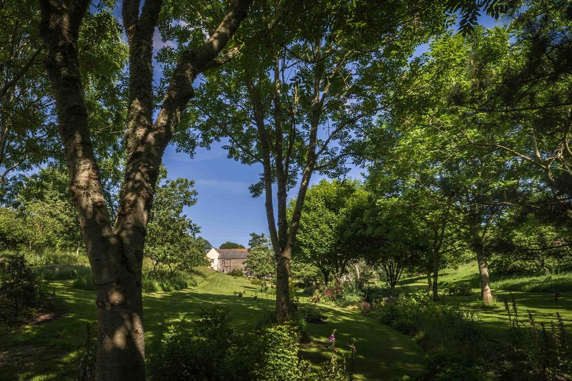 If you seek a little shade, these fabulous trees are perfect for nestling up against with a good book.
