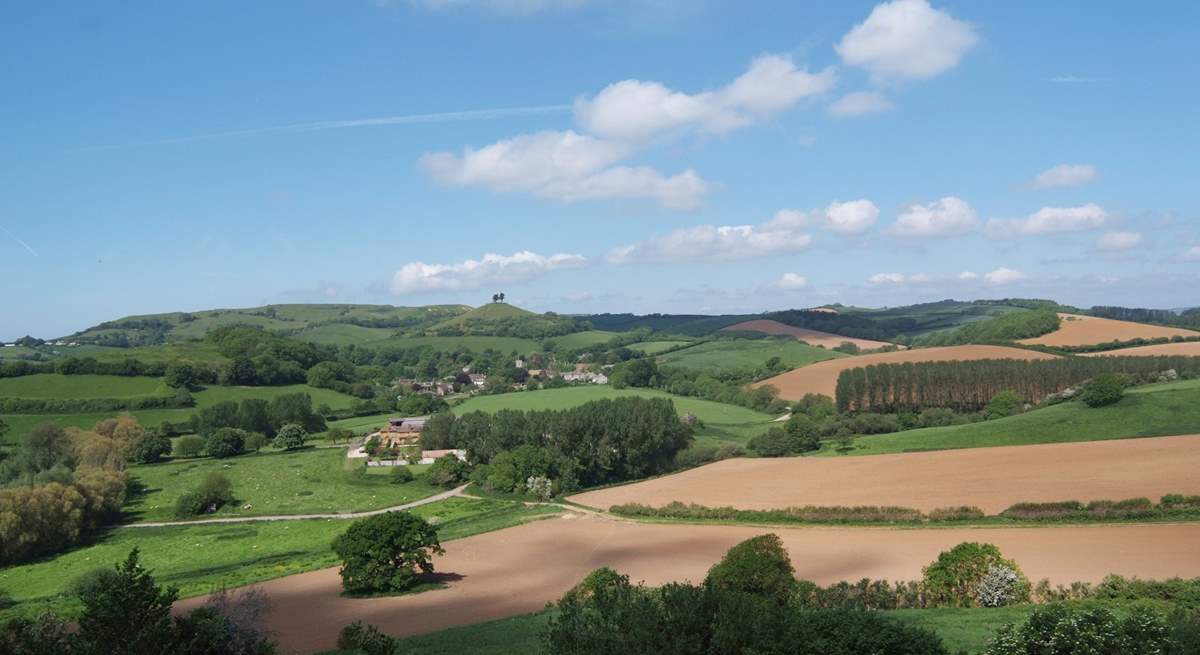 This is another iconic West Dorset landmark Colmer's Hill at Symonsbury, just outside Bridport.