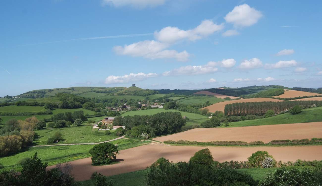 This is another iconic West Dorset landmark Colmer's Hill at Symonsbury, just outside Bridport.