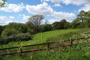 The 450 acre wildlife reserve is literally on the doorstep - through a wooden gate from Beech Cottage.