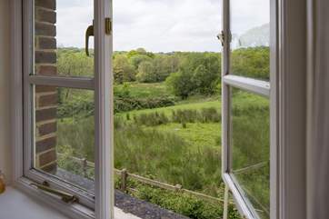 The view from Dragonfly, right out over the nature reserve.