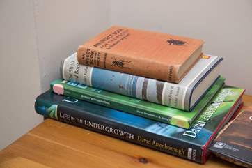 There are some great wildlife books in the Cottage, so that you can identify all that you have seen on your travels.