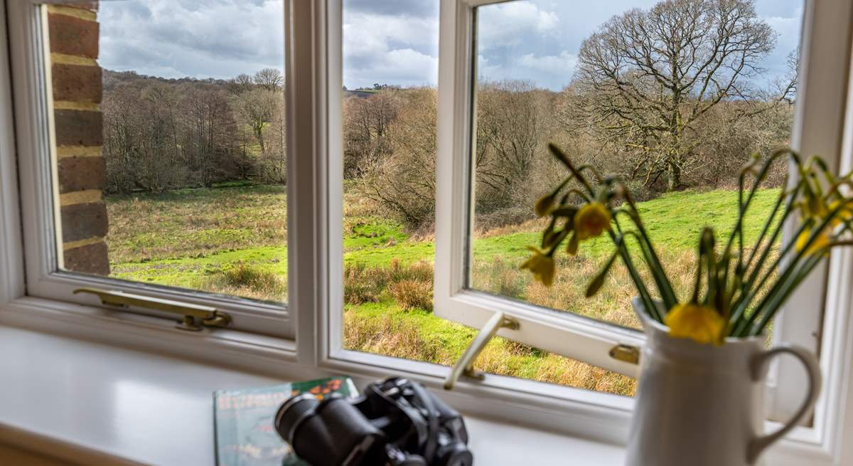 Be sure to use the binoculars to watch the wildlife from the window of Dragonfly bedroom.