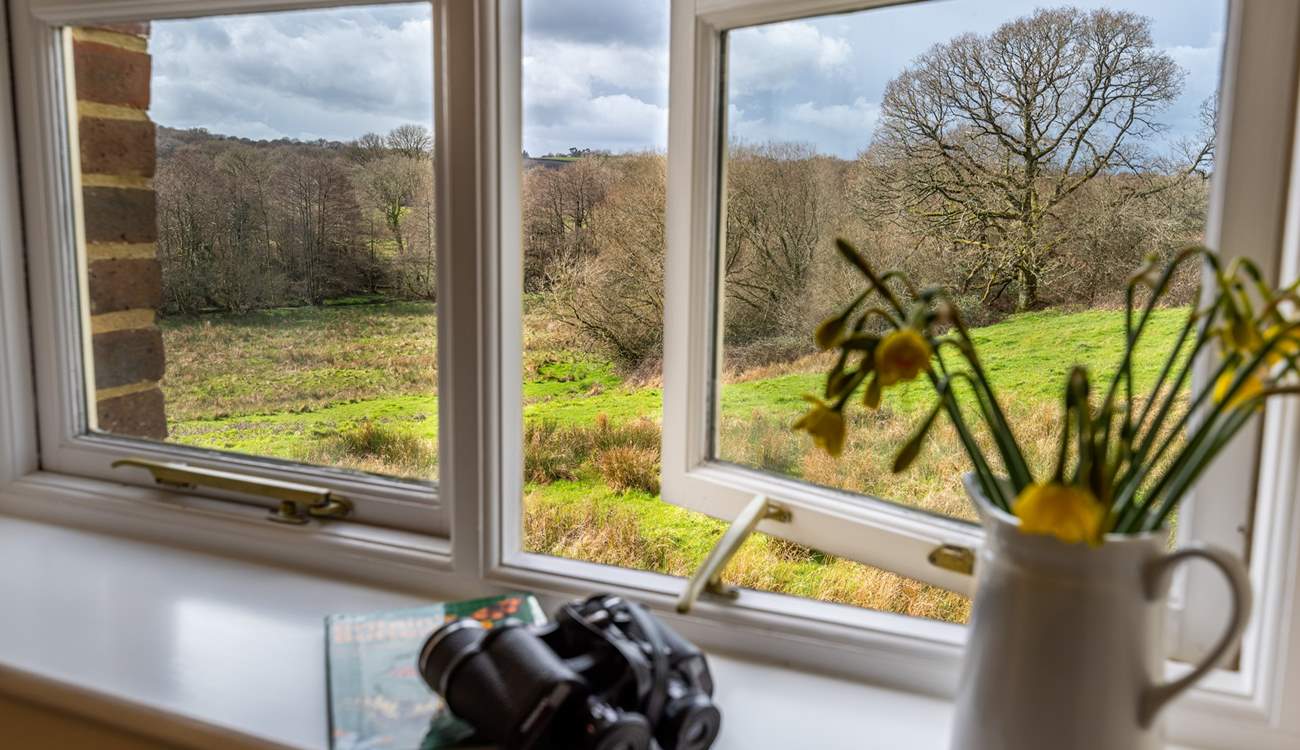 Be sure to use the binoculars to watch the wildlife from the window of Dragonfly bedroom.