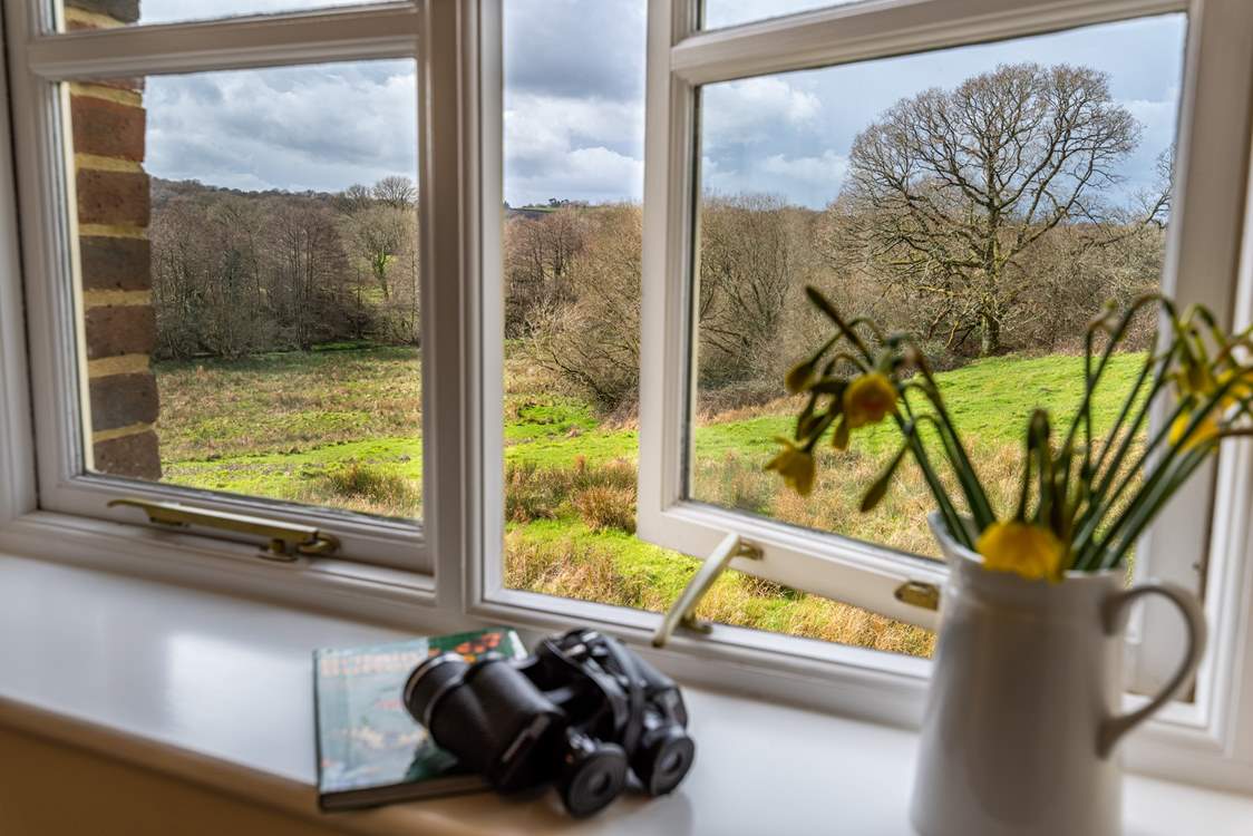 Be sure to use the binoculars to watch the wildlife from the window of Dragonfly bedroom.
