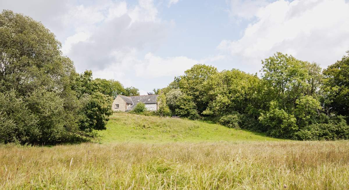 The 450 acre wildlife reserve is literally on the doorstep - through a wooden gate from Beech Cottage.