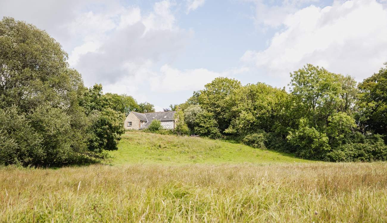 The 450 acre wildlife reserve is literally on the doorstep - through a wooden gate from Beech Cottage.