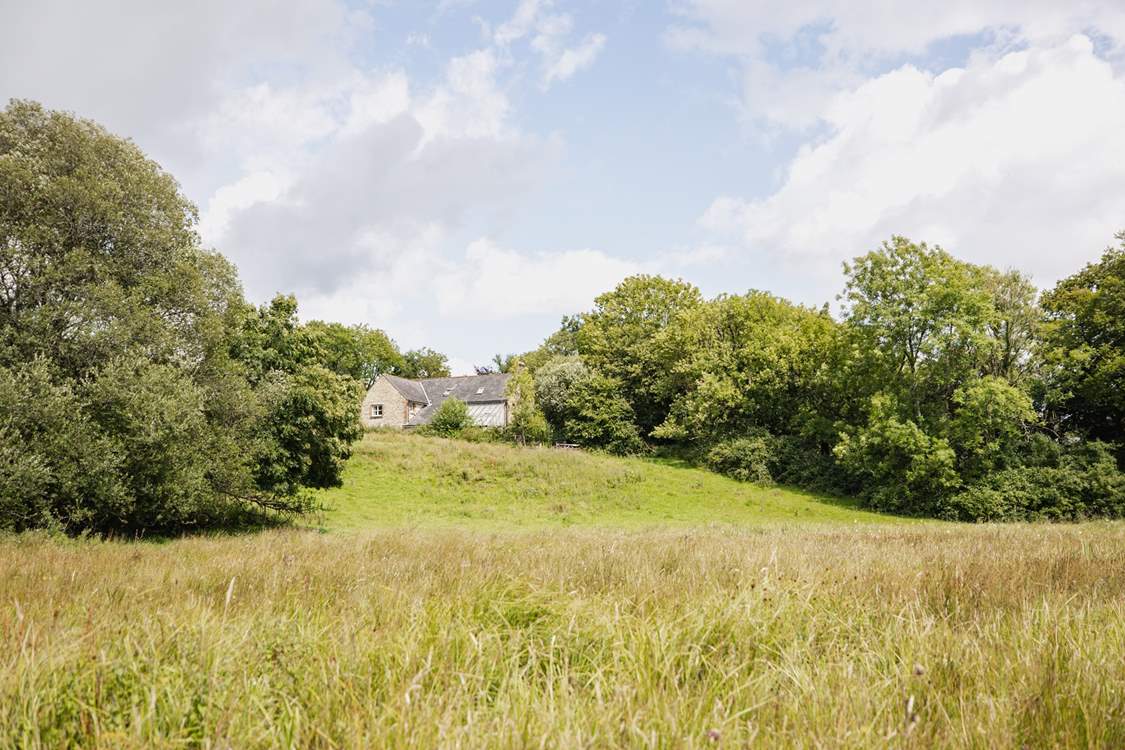 The 450 acre wildlife reserve is literally on the doorstep - through a wooden gate from Beech Cottage.