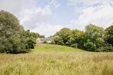 The 450 acre wildlife reserve is literally on the doorstep - through a wooden gate from Beech Cottage.