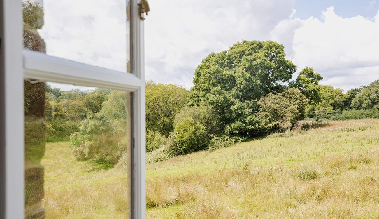 Be sure to use the binoculars to watch the wildlife from the window of Dragonfly bedroom.