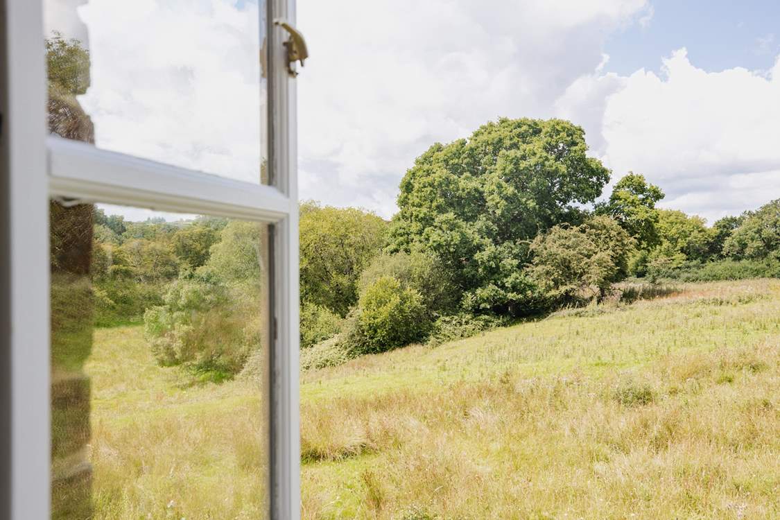 Be sure to use the binoculars to watch the wildlife from the window of Dragonfly bedroom.