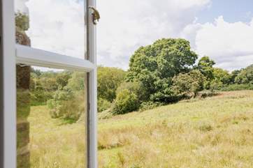 Be sure to use the binoculars to watch the wildlife from the window of Dragonfly bedroom.