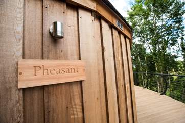 Welcome to Pheasant.