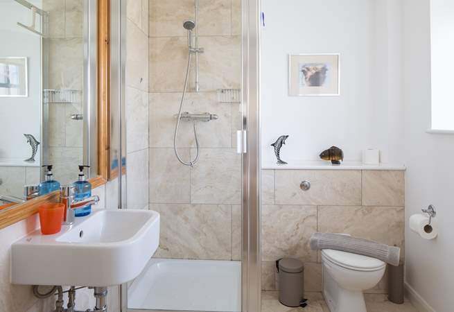 The family shower-room is a really good size.