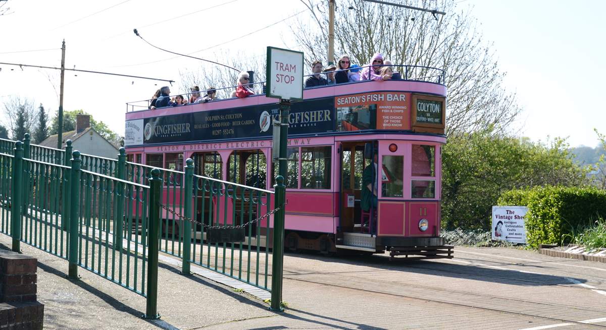 A short walk from the cottage will take you to Colyton Tram Station, where you can take the Tram that follows the river Axe to the coast at Seaton. Dogs are welcomed.