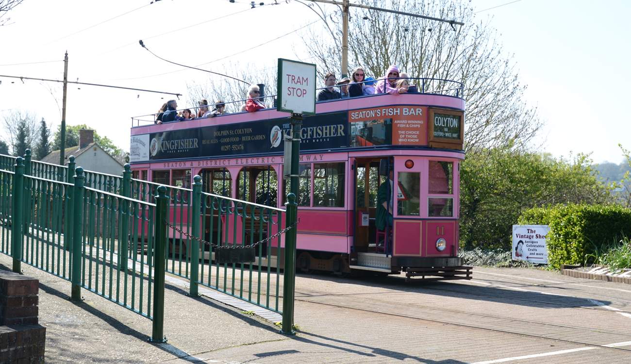 A short walk from the cottage will take you to Colyton Tram Station, where you can take the Tram that follows the river Axe to the coast at Seaton. Dogs are welcomed.