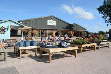Miller's Farm shop at nearby Kilmington is packed with local produce and holiday treats.