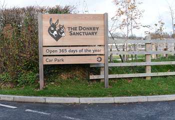 The Donkey Sanctuary at nearby Salcombe Regis is home to hundreds of rescued Donkeys and Mules, delightful for all the family, admission is free.