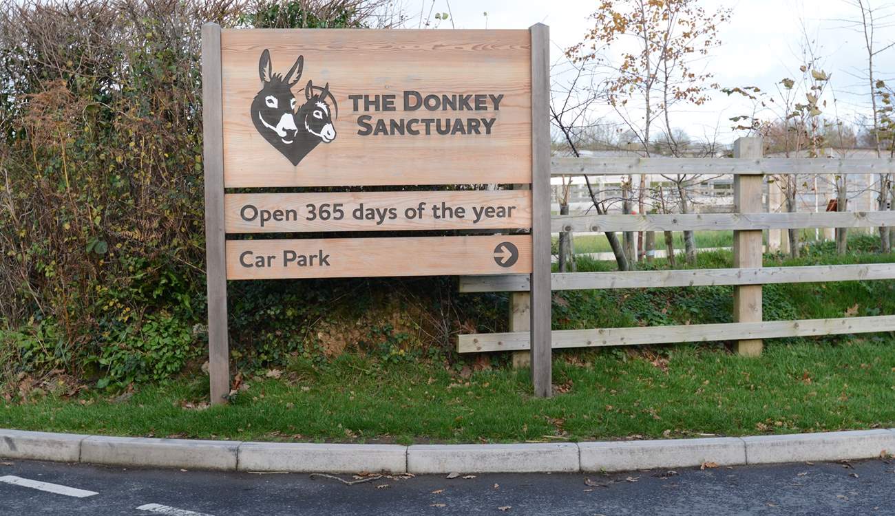 The Donkey Sanctuary at nearby Salcombe Regis is home to hundreds of rescued Donkeys and Mules, delightful for all the family, admission is free.