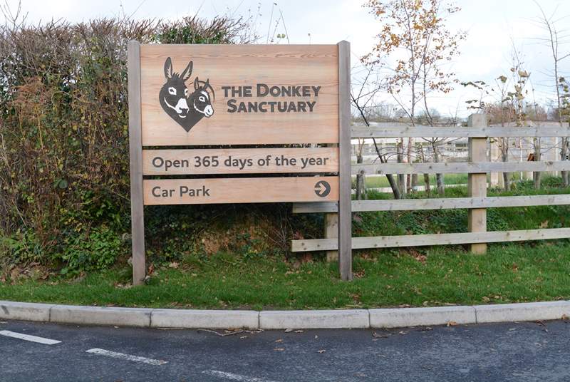 The Donkey Sanctuary at nearby Salcombe Regis is home to hundreds of rescued Donkeys and Mules, delightful for all the family, admission is free.