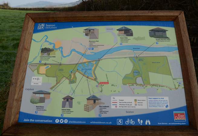 Seaton wetlands, enjoy the bird and insect life along the river Axe, only assistance dogs are allowed.