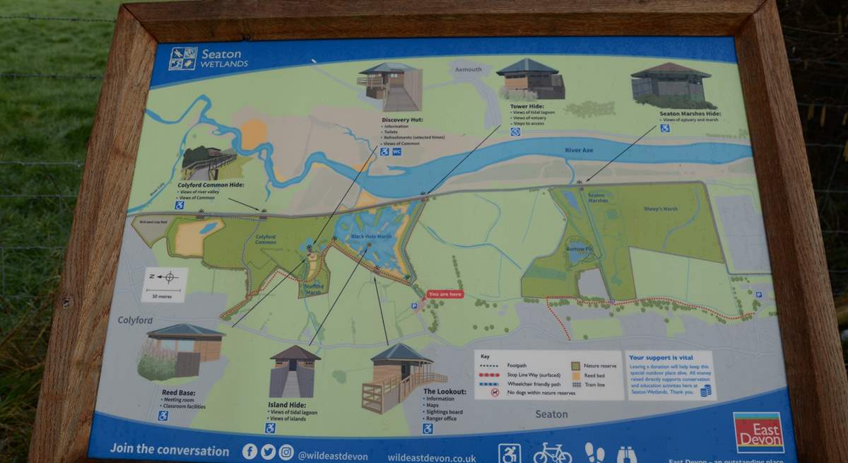 Seaton wetlands, enjoy the bird and insect life along the river Axe, only assistance dogs are allowed.