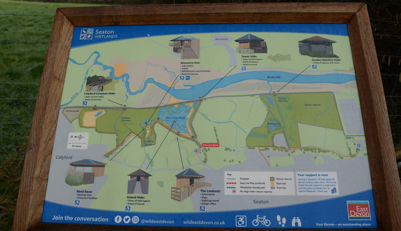 Seaton wetlands, enjoy the bird and insect life along the river Axe, only assistance dogs are allowed.