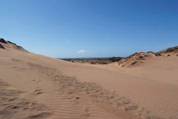 Explore the World Heritage Site at Braunton Burrows - the largest expanse of sand dunes in the UK!