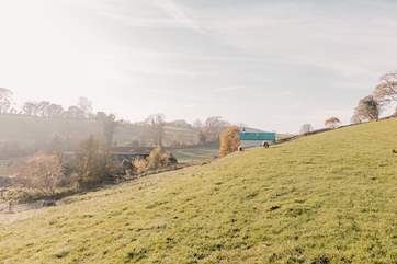 Encompassed by rolling hills in the idyllic south Devon countryside.