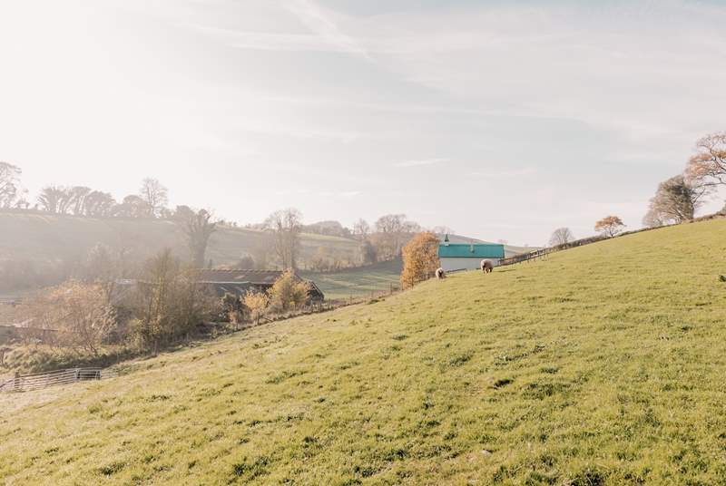 Encompassed by rolling hills in the idyllic south Devon countryside.