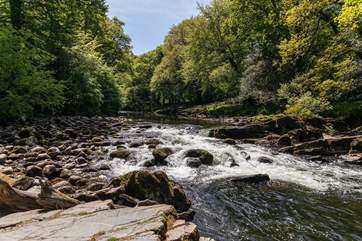 The glorious scenery of Dartmoor.