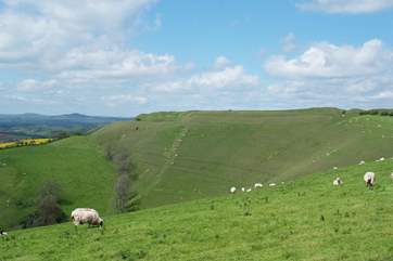 The Iron Age hill fort at Eggardon Hill is a short drive from West Farm.