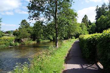 The riverside walk into Dulverton.