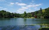 Stourhead, a fantastic National Trust estate at the source of the River Stour has magnificent rhododendrons and even has its own pub. - Thumbnail Image